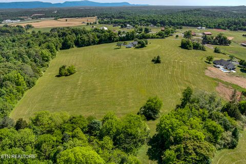Tiny photo for 153 County Road 554, Athens, TN 37303 (MLS # 1339848)