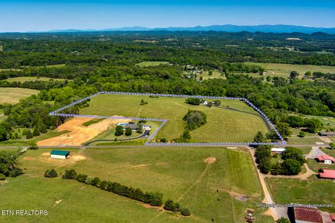 Tiny photo for 153 County Road 554, Athens, TN 37303 (MLS # 1339848)