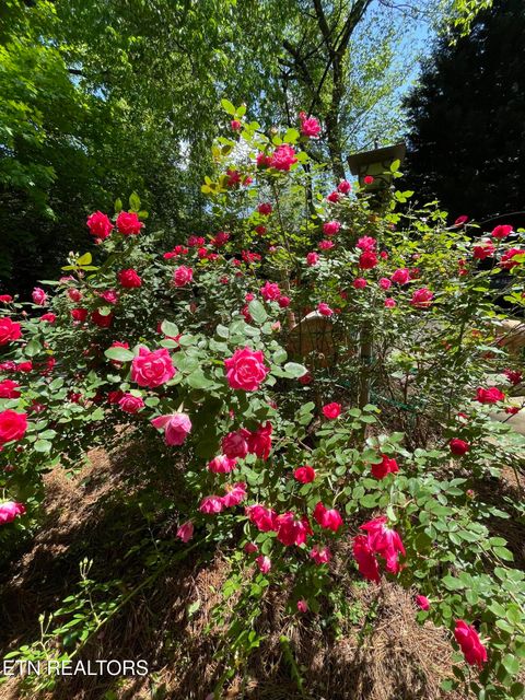 Tiny photo for 5526 Woodburn Drive, Knoxville, TN 37919 (MLS # 1337312)