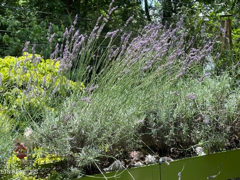 Tiny photo for 5526 Woodburn Drive, Knoxville, TN 37919 (MLS # 1337312)