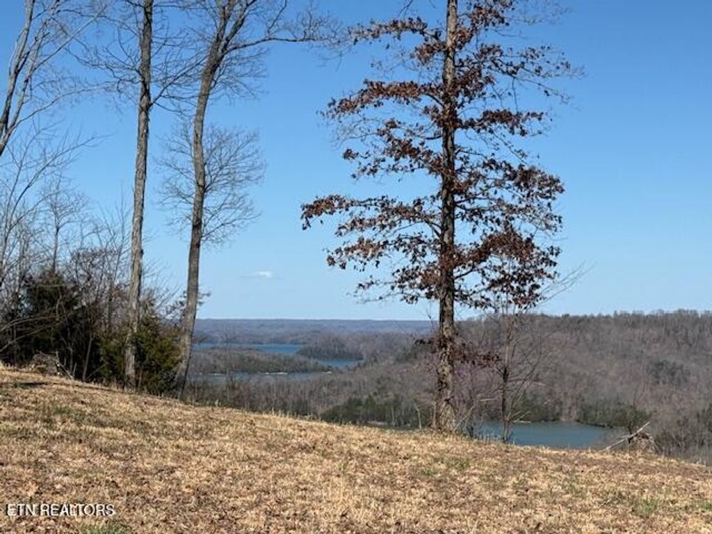 Photo of N Rock Fish Rd, Hilham, TN 38568 (MLS # 1330332)