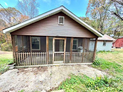 2801 Oak Grove Rd Rocky Top TN 37769