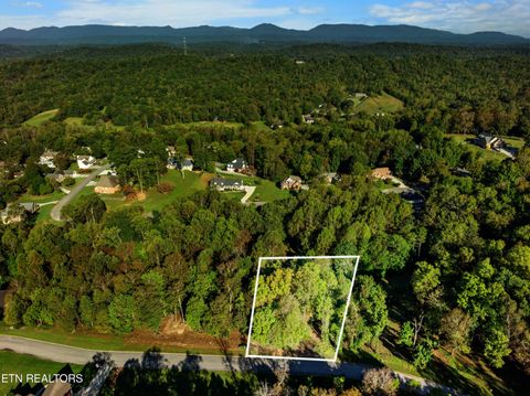 Tiny photo for 6 St James Lane, Clinton, TN 37716 (MLS # 1316554)