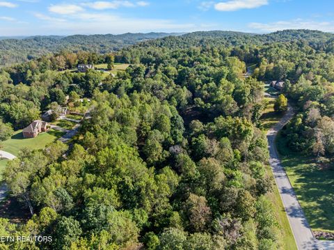 Tiny photo for 6 St James Lane, Clinton, TN 37716 (MLS # 1316554)