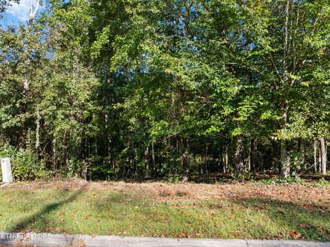 Tiny photo for 6 St James Lane, Clinton, TN 37716 (MLS # 1316554)