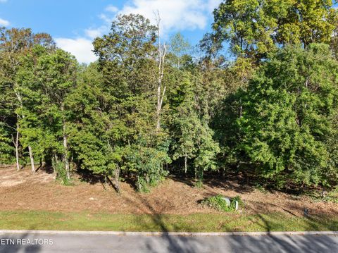 Tiny photo for 6 St James Lane, Clinton, TN 37716 (MLS # 1316554)