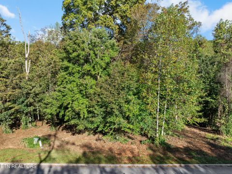 Tiny photo for 6 St James Lane, Clinton, TN 37716 (MLS # 1316554)