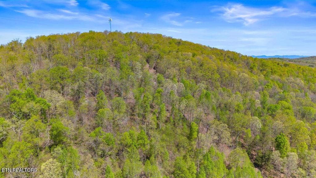 Photo of 00 Dog Town Rd, Ten Mile, TN 37880 (MLS # 1336734)