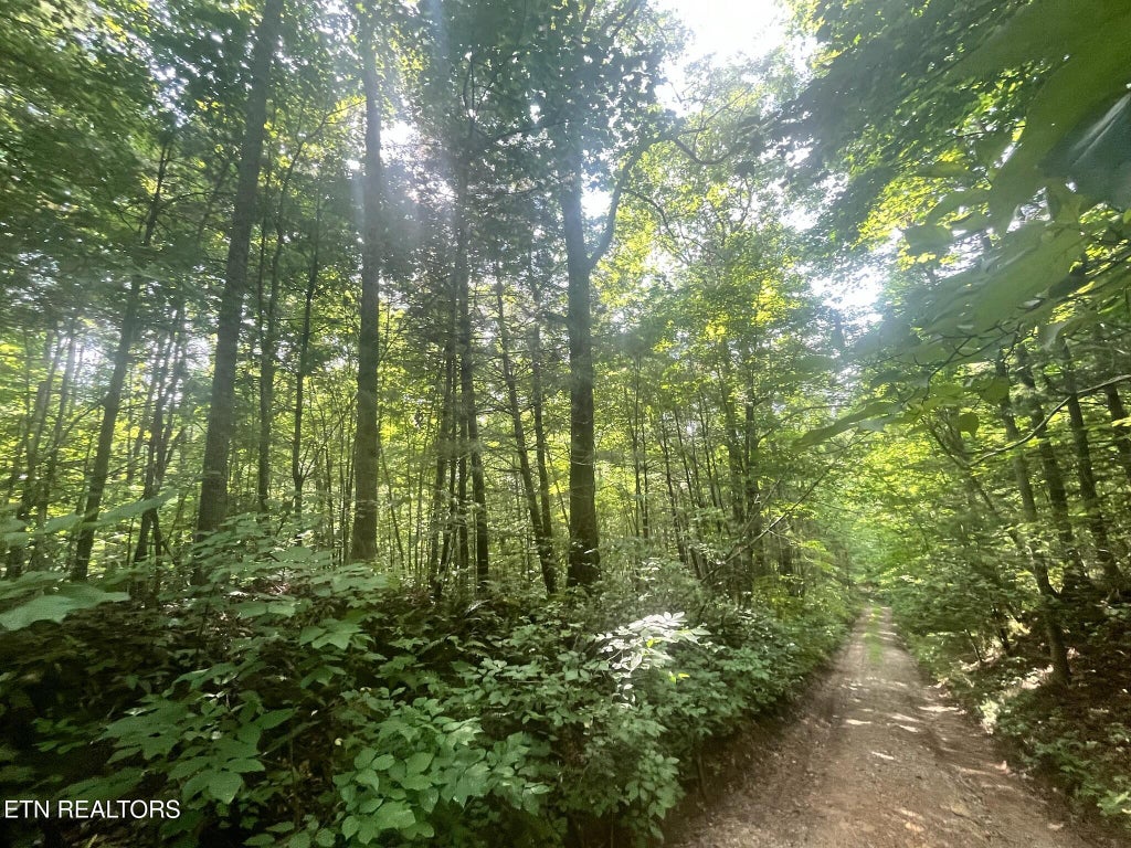Photo of Ridge Rd, Lancing, TN 37770 (MLS # 1293394)