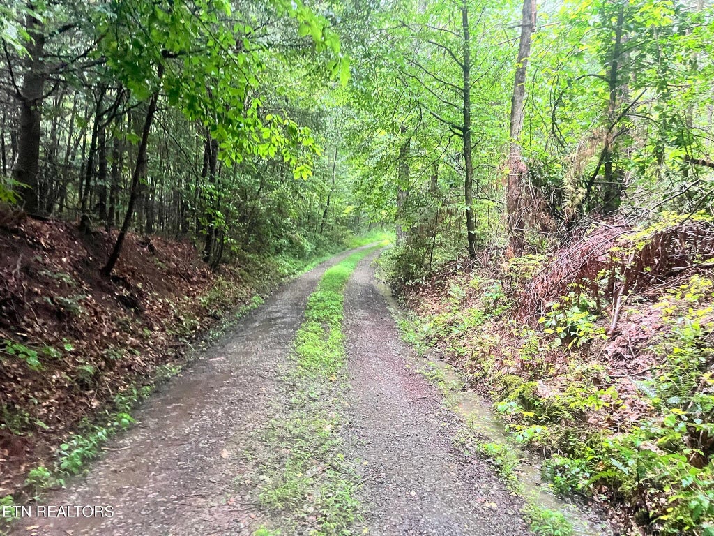 Photo of Ridge Rd, Lancing, TN 37770 (MLS # 1293394)