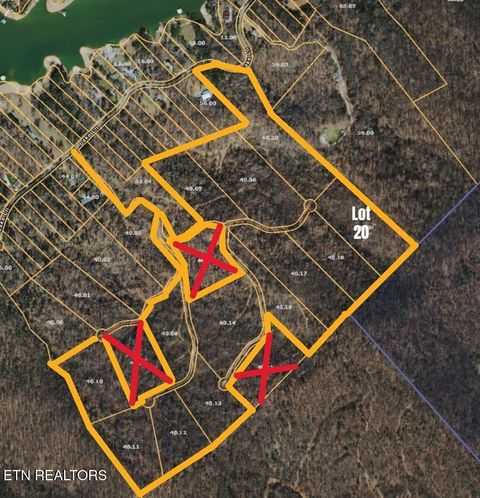 Photo of Lake Lane Lane #Lot 20, New Tazewell, TN 37825 (MLS # 1340425)