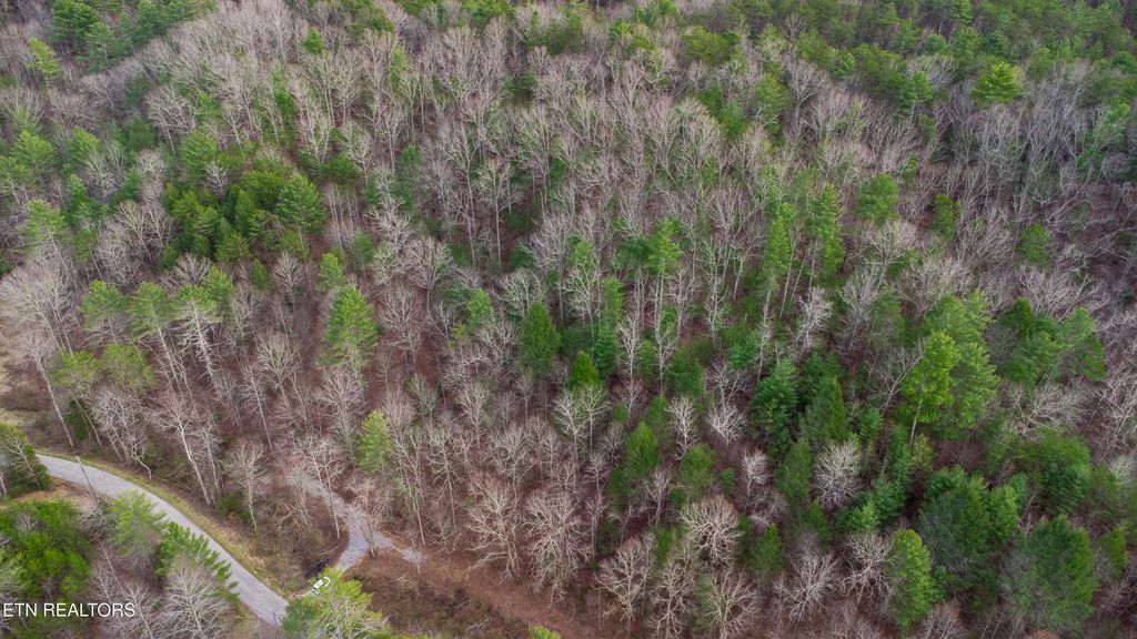 Photo of 379 MAPLE SPRINGS Rd, Reliance, TN 37369 (MLS # 1318125)