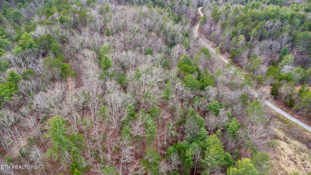 Photo of 379 MAPLE SPRINGS Rd, Reliance, TN 37369 (MLS # 1318125)