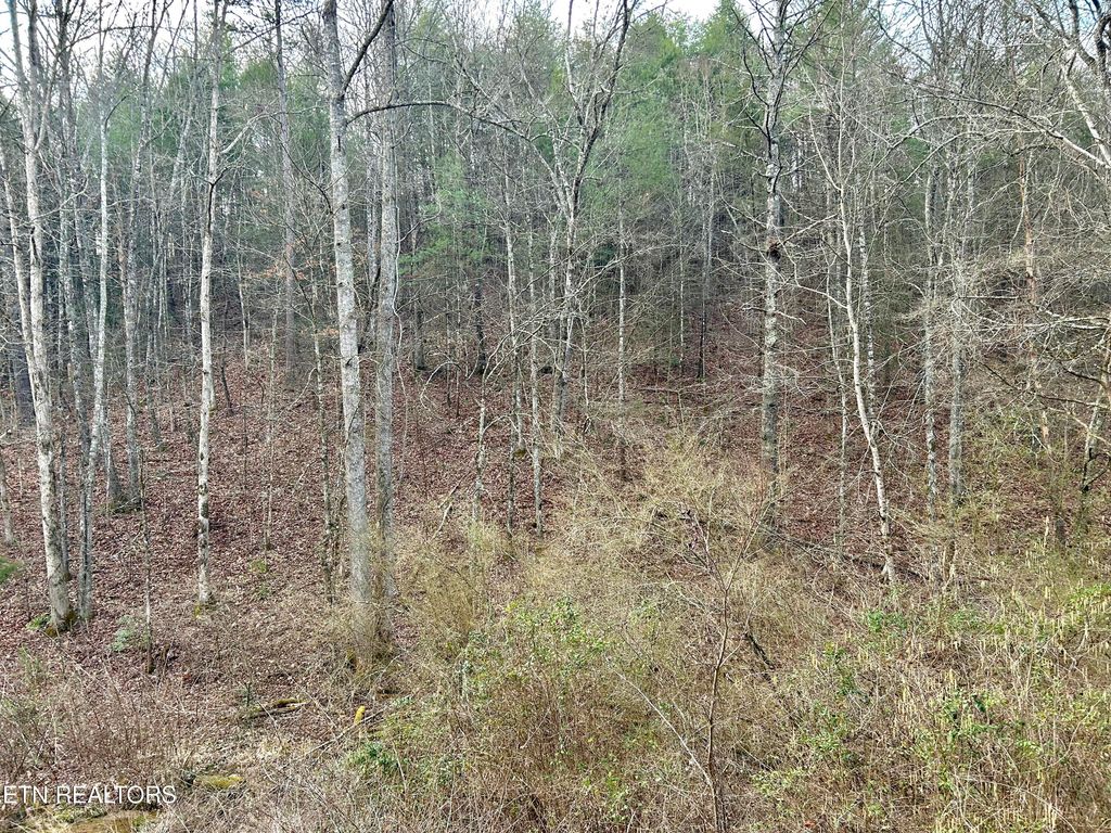 Photo of 379 MAPLE SPRINGS Rd, Reliance, TN 37369 (MLS # 1318125)