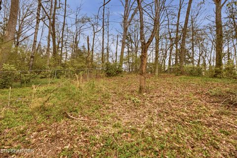 Tiny photo for 107 Dale Rd, Norris, TN 37828 (MLS # 1334726)