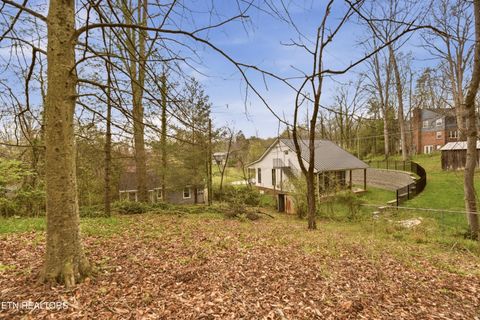 Tiny photo for 107 Dale Rd, Norris, TN 37828 (MLS # 1334726)