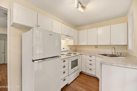 Tiny photo for 107 Dale Rd, Norris, TN 37828 (MLS # 1334726)