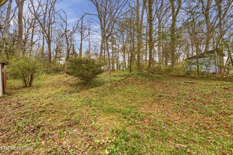 Tiny photo for 107 Dale Rd, Norris, TN 37828 (MLS # 1334726)