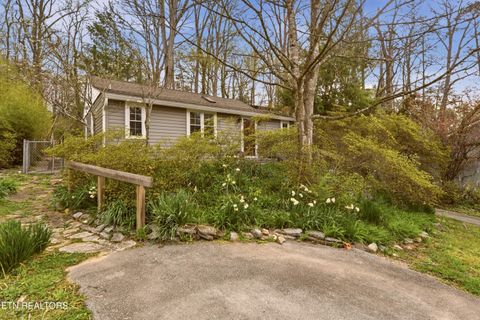 Tiny photo for 107 Dale Rd, Norris, TN 37828 (MLS # 1334726)
