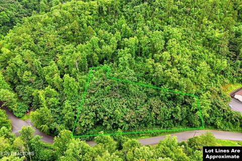 Photo of 127 Beech Branch Rd, Gatlinburg, TN 37738 (MLS # 1345770)