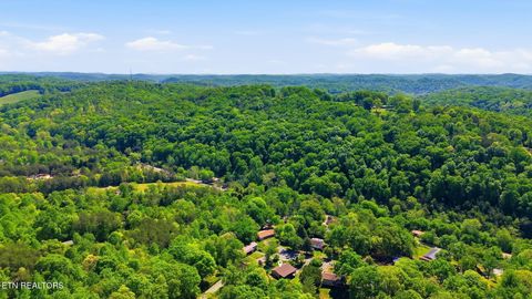 Tiny photo for 209 White Oak Lane, Heiskell, TN 37754 (MLS # 1338234)