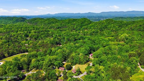 Tiny photo for 209 White Oak Lane, Heiskell, TN 37754 (MLS # 1338234)