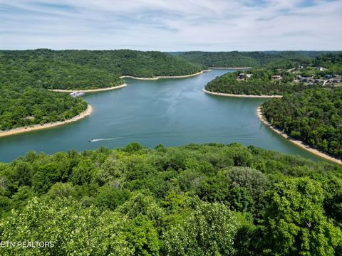 Photo of 0 Coconut Ridge Rd, Smithville, TN 37166 (MLS # 1341238)