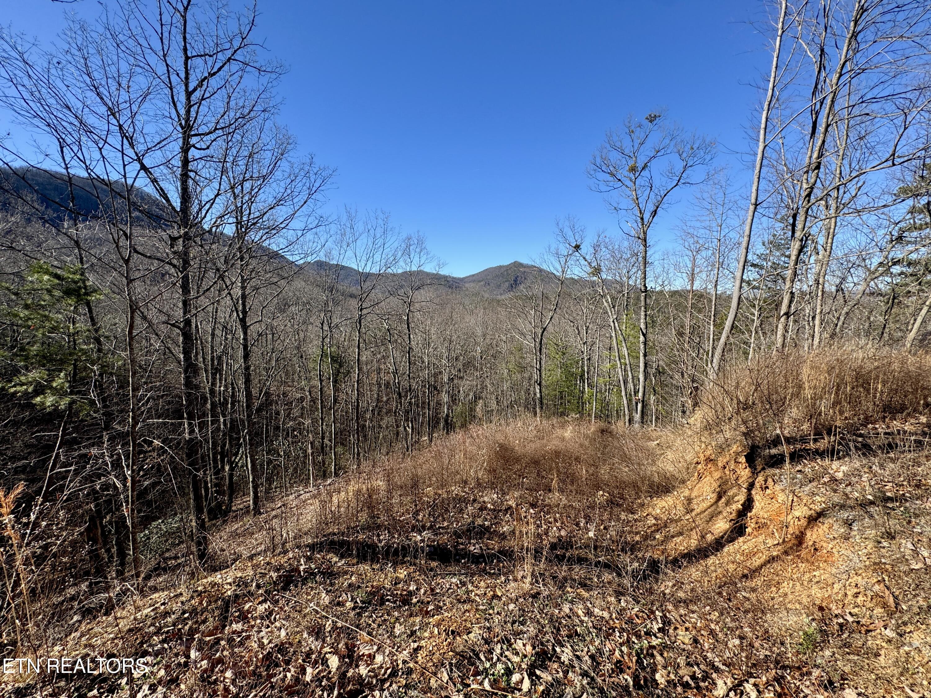 TR 5 Caney Creek (Land only) Rd