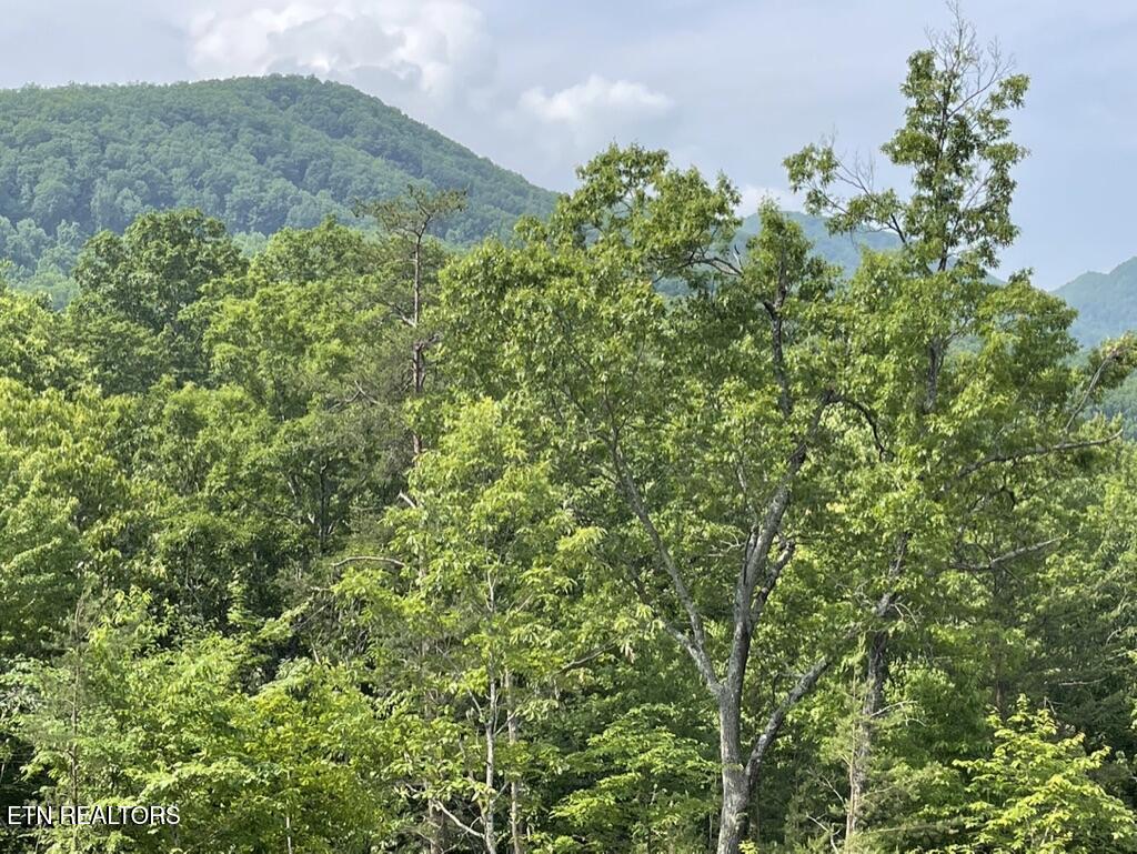 TR 5 Caney Creek (Land only) Rd