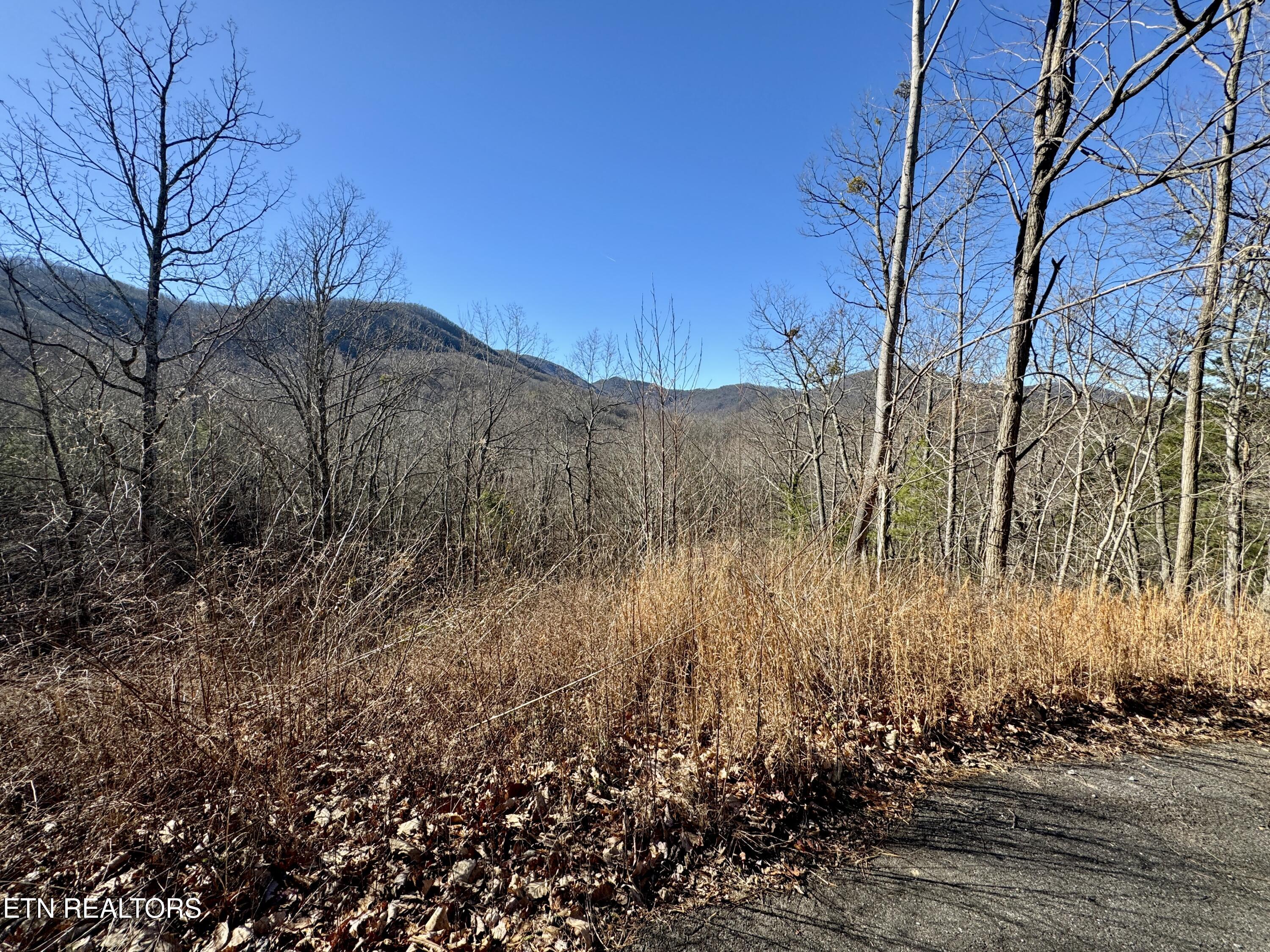 TR 5 Caney Creek (Land only) Rd