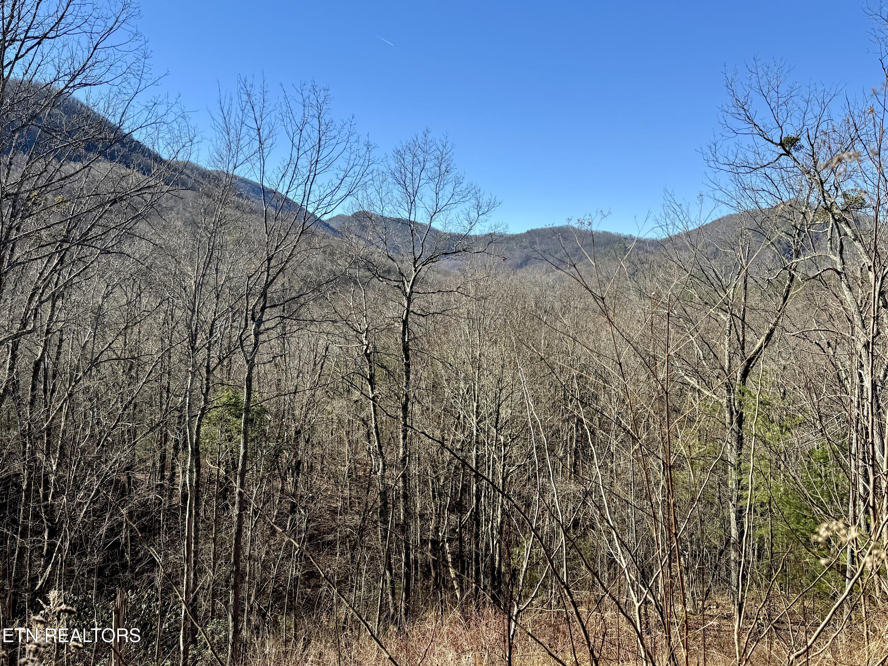 TR 5 Caney Creek (Land only) Rd
