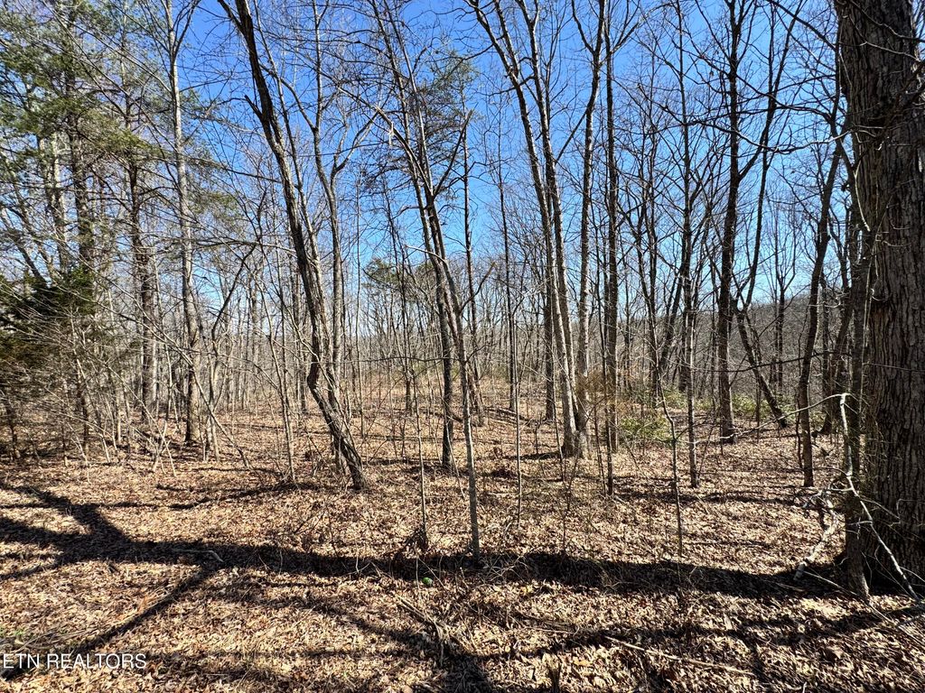Photo of Honey Springs Rd, Crawford, TN 38554 (MLS # 1338129)