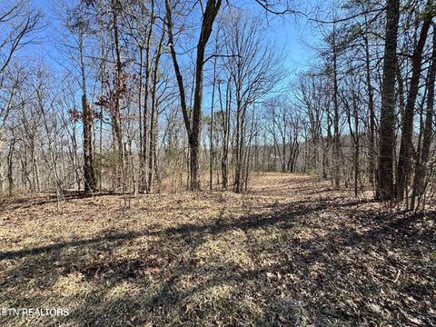 Photo of Honey Springs Rd, Crawford, TN 38554 (MLS # 1338129)