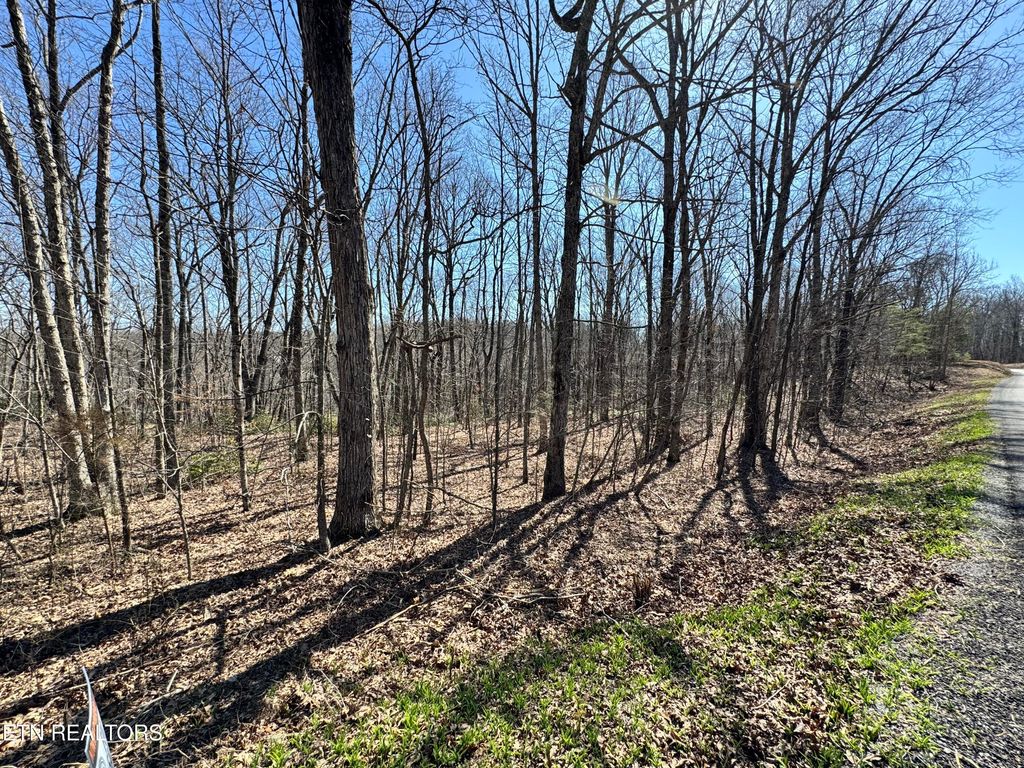 Photo of Honey Springs Rd, Crawford, TN 38554 (MLS # 1338129)
