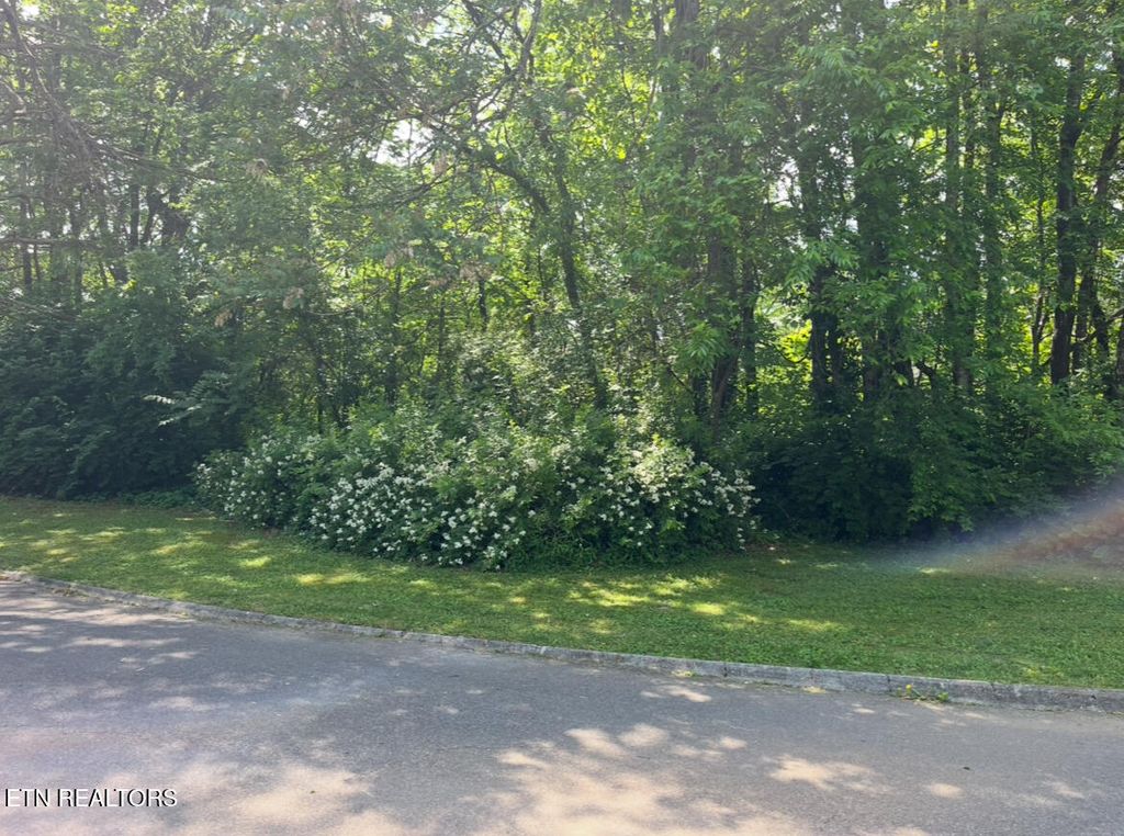 Photo of 0 Burns Lane, Seymour, TN 37865 (MLS # 1300257)