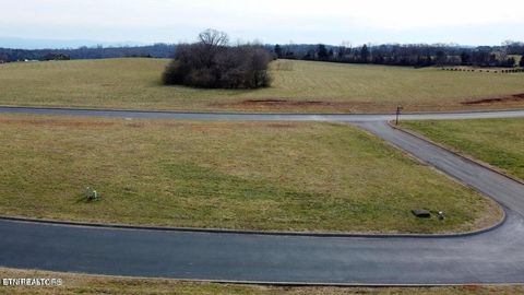 Tiny photo for 110 Whippoorwill Drive, Vonore, TN 37885 (MLS # 1336509)