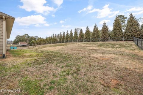 Tiny photo for 223 County Road 703, Athens, TN 37303 (MLS # 1329978)