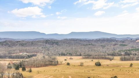 Tiny photo for 223 County Road 703, Athens, TN 37303 (MLS # 1329978)