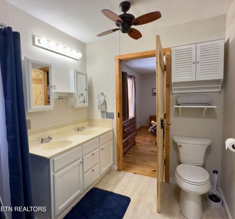 Tiny photo for 146 Hollow Rd Rd, Cosby, TN 37722 (MLS # 1328033)