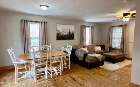 Tiny photo for 146 Hollow Rd Rd, Cosby, TN 37722 (MLS # 1328033)