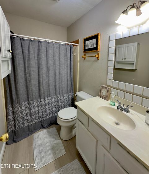 Tiny photo for 146 Hollow Rd Rd, Cosby, TN 37722 (MLS # 1328033)