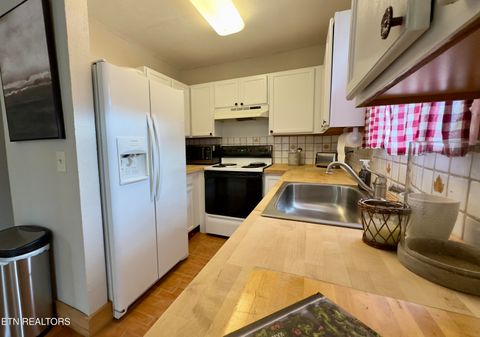 Tiny photo for 146 Hollow Rd Rd, Cosby, TN 37722 (MLS # 1328033)