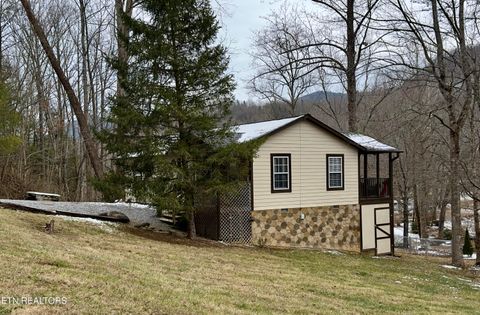 Tiny photo for 146 Hollow Rd Rd, Cosby, TN 37722 (MLS # 1328033)