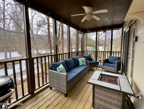 Tiny photo for 146 Hollow Rd Rd, Cosby, TN 37722 (MLS # 1328033)