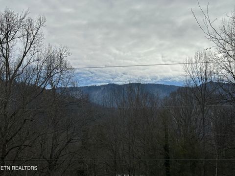 Tiny photo for 146 Hollow Rd Rd, Cosby, TN 37722 (MLS # 1328033)