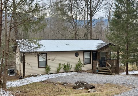 Photo of 146 Hollow Rd Rd, Cosby, TN 37722 (MLS # 1328033)