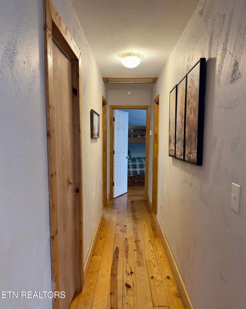 Tiny photo for 146 Hollow Rd Rd, Cosby, TN 37722 (MLS # 1328033)