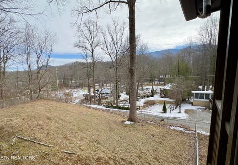 Tiny photo for 146 Hollow Rd Rd, Cosby, TN 37722 (MLS # 1328033)