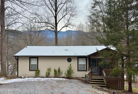 Tiny photo for 146 Hollow Rd Rd, Cosby, TN 37722 (MLS # 1328033)