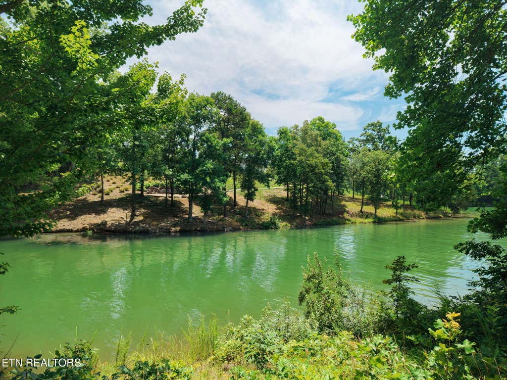 Photo of 259 Careen Court, Lenoir City, TN 37772 (MLS # 1348811)